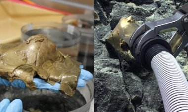 العثور على جرم سماوي ذهبي غامض في قاع المحيط يحير العلماء