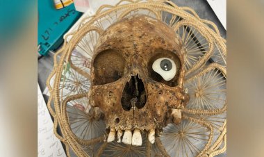 العثور على جمجمة بشرية تاريخية في صندوق