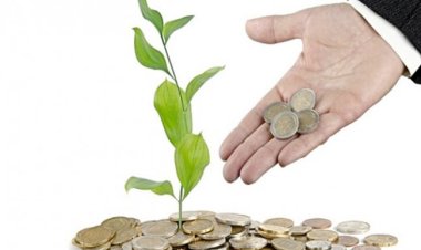 51 مليار جنيه.. إجمالي تمويلات المشروعات متناهية الصغر حتى نهاية 2023