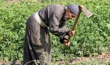 تزامنًا مع عيدهم الـ71.. 7  مكاسب لـ الفلاح في عهد الرئيس السيسي