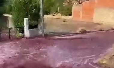 بلدة يتم طلائها بالكامل بالنبيذ!.. ما القصة؟