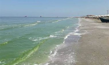 لماذا تحول البحر في بورسعيد إلى اللون الأخضر؟