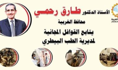 تحصين 234 ألف رأس ماشية ضد الحمى القلاعية والوادي المتصدع بالغربية