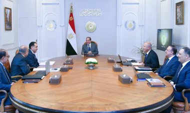 الرئيس السيسي يتابع خطة إصلاح وتطوير شركات قطاع الأعمال العام والموانئ البحرية والممرات اللوجستية