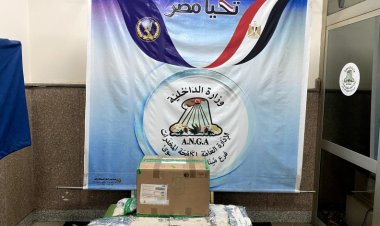 إحباط محاولة تهريب مخدرات بـ6 ملايين جنيه داخل لعب أطفال بميناء القاهرة الجوى