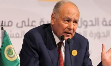 أبوالغيط: مبادرة البحر الأسود للحبوب تفيد دولا عربية وما تزال مطلوبة رغم الصعوبات