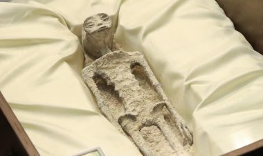 خدعة.. خبراء يكشفون حقيقة أجسام المكسيك الغريبة