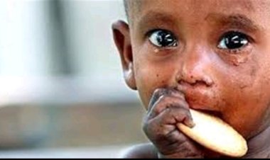 الفاو: ثلث سكان العالم ضمن دائرة الجوع خلال عام ٢٠٢٢