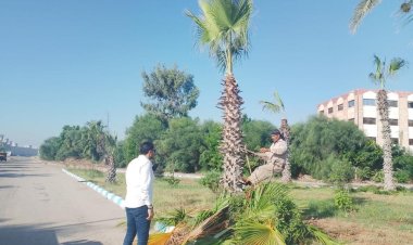 محافظ الدقهلية يكلف رئيس مدينة جمصة باستمرار متابعة تحسين مستوى النظافة