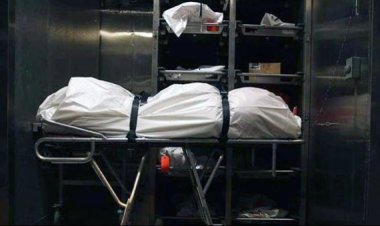 مسجل خطر ينهى حياة سيدة لسرقة أموالها فى شبرا الخيمة 