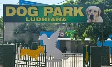 الهند تعلن عن افتتاح أول حديقة مُخصصة للكلاب وسلامها النفسي