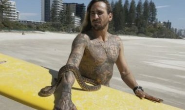 بسبب أفعي .. فرض غرامة قدرها  1500 دولار أمريكي على صاحبها