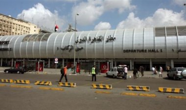 احباط تهريب «68 سلاحف حيه و75 ضب سيناوى وثعابين» فى مطار القاهرة        