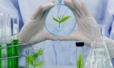 «مبدعي مصر» تُعلن نتائج أبحاث التكنولوجيا الحيوية الجمعة المقبلة