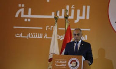 مستشار رئيس الوزراء الأسبق: التصويت الإلكتروني في الانتخابات الرئاسية يحتاج لتعديل دستوري