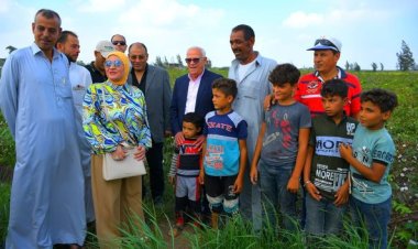 محافظ بورسعيد يشهد بدء موسم حصاد محصول الأرز