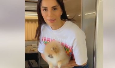 بعد غياب طويل.. آمال ماهر تعود من جديد بأغنية «أنا كويسة» (فيديو)