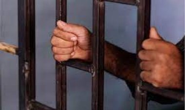 السجن المشدد 5 سنوات لمتهم بحيازة مواد مخدرة بمدينة نصر