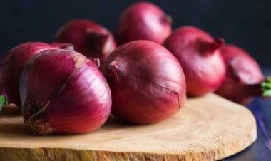 آخر أخبار أسعار البصل اليوم