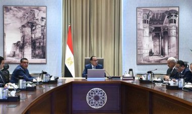 رئيس الوزراء يتابع الموقف التنفيذي لعدد من المشروعات بمحافظة السويس