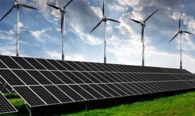 أستاذ اقتصاد: مصرأثبتت للعالم عدم تعارض النمو الاقتصادي مع التحول للطاقة المتجددة