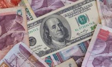 تقرير لمجلس الوزراء يرصد خطوات ومؤشرات تحقيق مرونة سعر الصرف