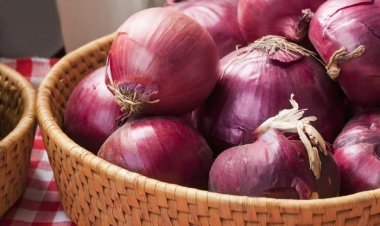 البصل بـ 19.5.. أسعار الخضار اليوم في سوق العبور