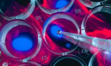 استخدام الذكاء الاصطناعي في المعركة ضد الشيخوخة