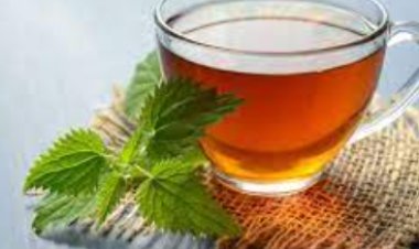 عميد معهد القلب: الشاي  يمنع  تصلب القلب والجلطات