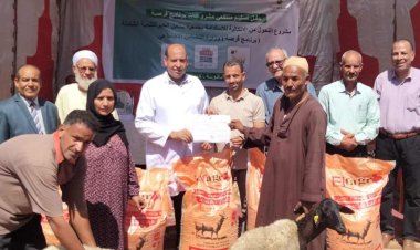 محافظ المنيا: تسليم 128 رأس ماشية بقرية ماقوسة ضمن برنامج "فرصة"
