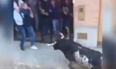 بسبب مهرجان الركض أمام الثيران... وفاة رجل ألحقها به ثور