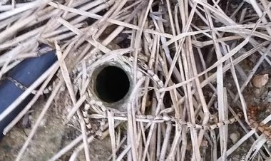 حفرة للعناكب السامة في حديقة منزل رجل تثير الرعب بأستراليا