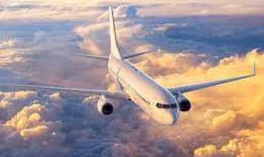 سيدة  نيجيرية تضع مولودها بالطائرة