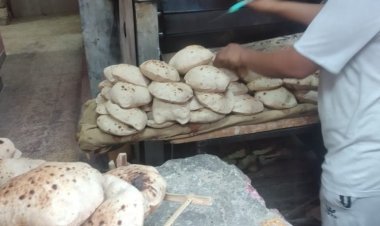 محافظ أسيوط: حملات تموينية مكثفة على الأسواق بالمراكز والأحياء