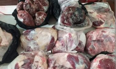 2 طن لحوم فاسدة داخل ثلاجة في حملة تموينية بالقليوبية