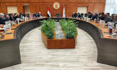 أمين المجلس الأعلى للجامعات يبحث تعزيز التعاون العلمي مع وفد بريطاني