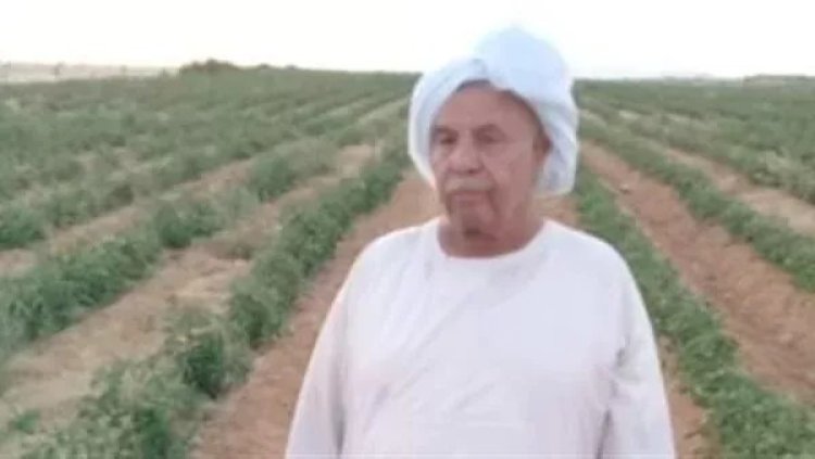 الإعدام لـ 12 متهما في واقعة إنهاء حياة صاحب محلات «الفقير»