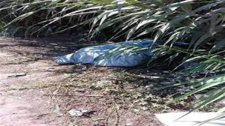 حل لغز العثور على جثة بالزراعات فى المنيا
