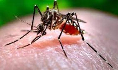 بعد إثارته الجدل بشأن حمى الضنك.. حكاية منشور صحة ديروط المحذوف