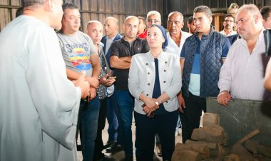 وزيرة البيئة تتابع منظومة نوبات تلوث الهواء الحادة في الشرقية