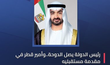 رئيس الدولة يصل الدوحة..وأمير قطر في مقدمة مستقبليه