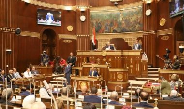 وكيل الشيوخ: الجيش المصري هذا العام قضى على أخر معاقل الإرهاب في سيناء