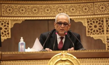 بهاء الدين أبو شقة يرفع الجلسة الافتتاحية لمجلس الشيوخ ويعاود الانعقاد غدًا الأربعاء