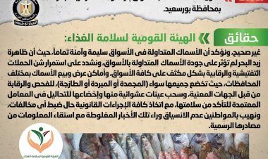 الحكومة تنفي تداول أسماك نافقة بالأسواق إثر ظاهرة زبد البحر ببورسعيد