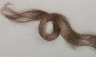 بـ 45 ألف دولار..  خصلة شعر «جورج واشنطن» في مزاد