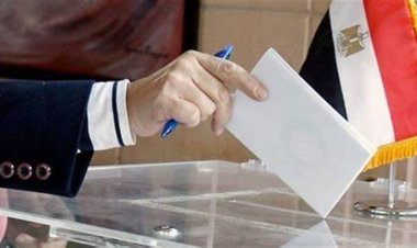 لتغطية 60% من اللجان.. 3000 متطوع يشاركون بالانتخابات الرئاسية 2024