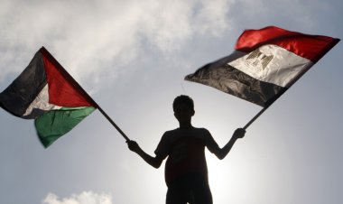 اكتشاف أثري غير مسبوق في غزة خلال حفر الأساسات بمشروع سكني