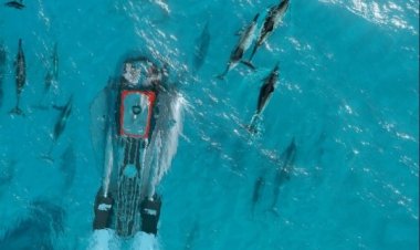 إطلاق غواصة جديدة للمليارديرات تفوق سرعة الدلافين