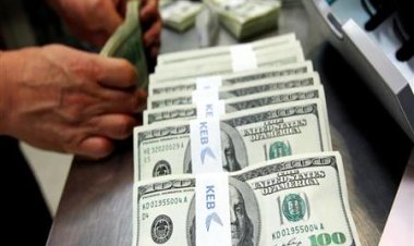 البنك المركزي: ارتفاع الاستثمارات الأجنبية المباشرة إلي 16.6 مليار دولار