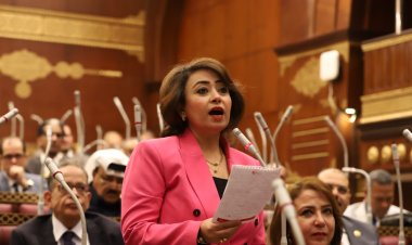 النائبة رشا إسحاق تهاجم البرلمان الأوروبي: أبواق الشر تُشكك في انتخاباتنا الرئاسية